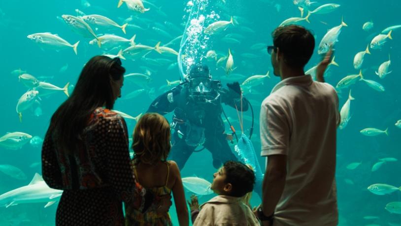 Nordsoen Oceanarium 