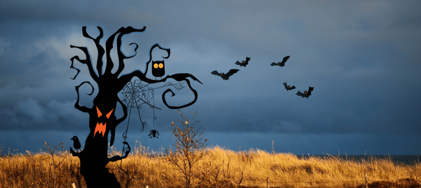 Lille Vildmose med halloween pynt