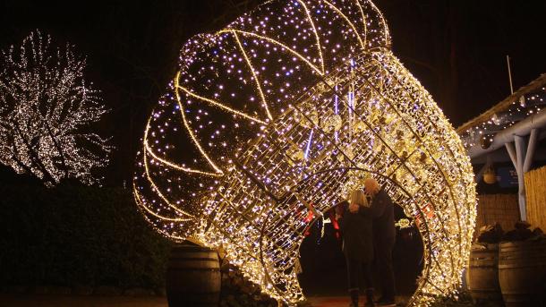 Jul i Zoo