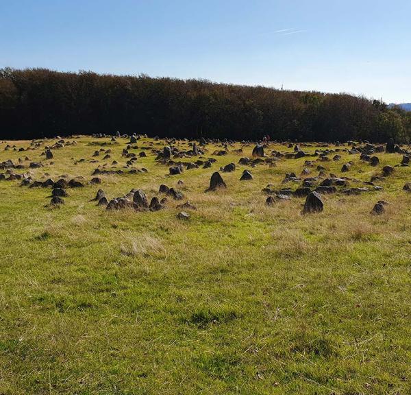 Lindholm Høje i Aalborg