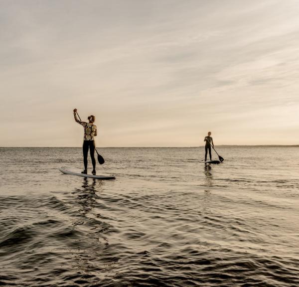 SUP board