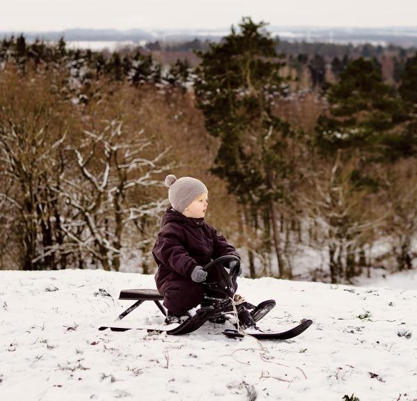 Kælketur på Tingbakkerne 