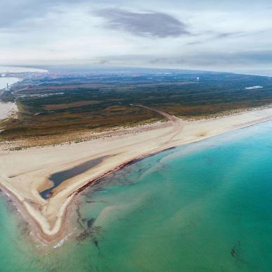 grenen 